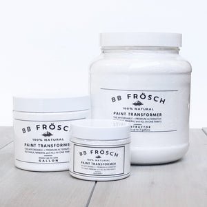 BB Frösch Paint Transformer