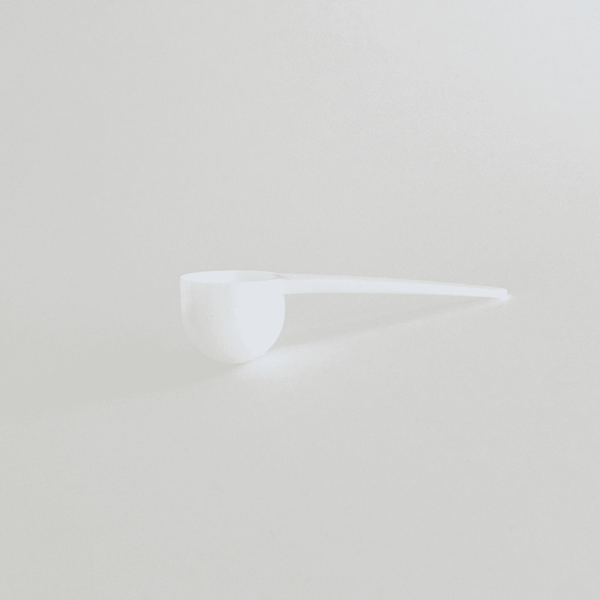 Limited-Edition Holiday Favorites Collection