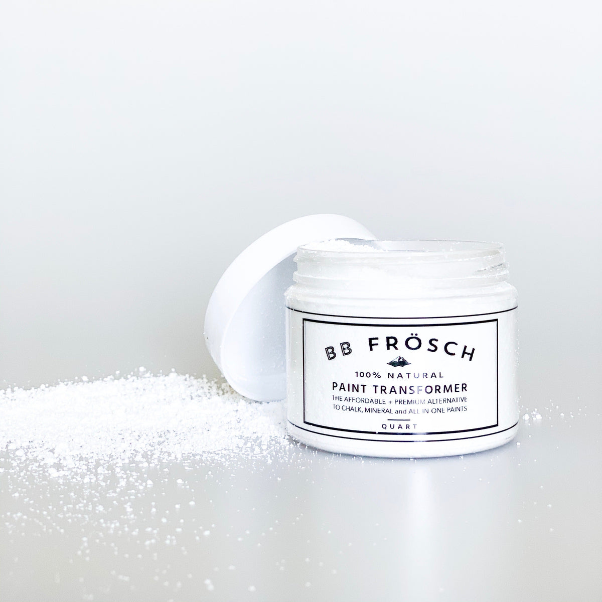 Shop - Paint Transformer – BB Frösch