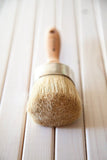 Specialty Paint Brush